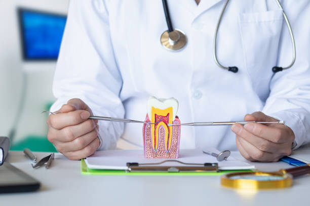 Best Emergency Dental Services for Seniors in Kersey, CO